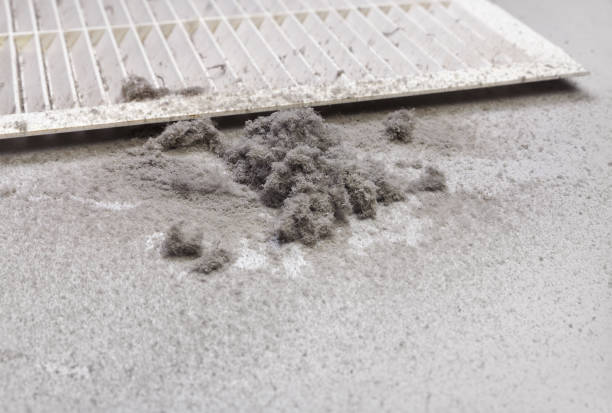 Best HVAC System Cleaning  in Pine Level, NC