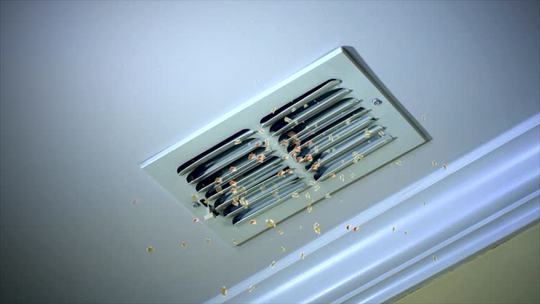 Best Ventilation Cleaning Services  in Pine Level, NC