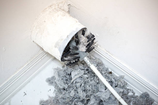 Best Air Duct Cleaning Near Me  in Pine Level, NC